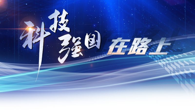 湖仓一体与云原生数据仓库：本质区别与适用场景